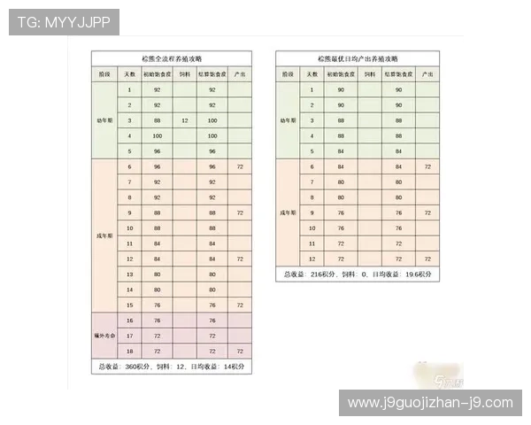 九游平台开户常见问题及解决方案全攻略